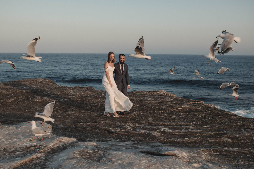 bride and groom posing with flying seagulls at clovelly wedding